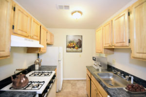 kitchen area in baltimore apartment